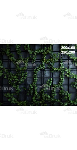 Tło fotograficzne 2835